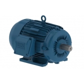 Motor Elétrico W22 Premium 3CV 8P